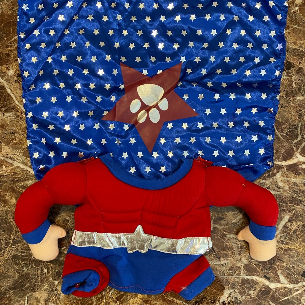 Super hero dog costume